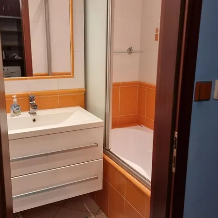 Apartment Spacious Two-room In Prague